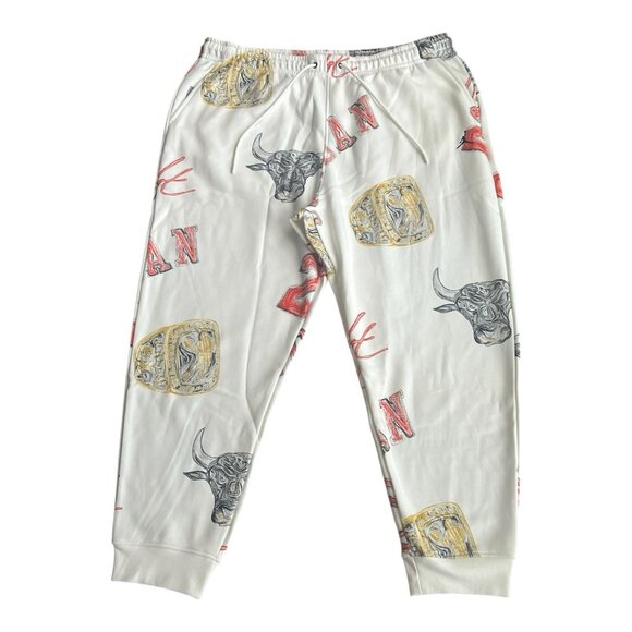 Air Jordan Brooklyn Chicago Bulls Nike Fleece Pants Size 3XL FN4547-133 NWT - Picture 1 of 6